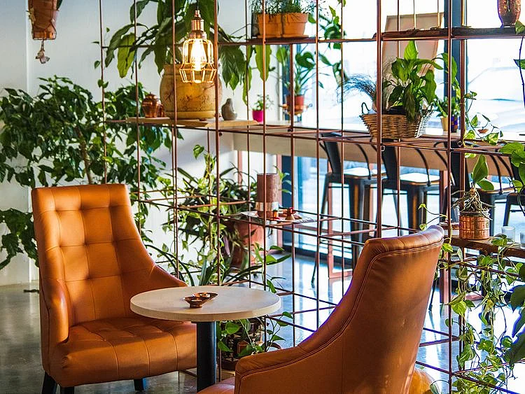 Indoor garden