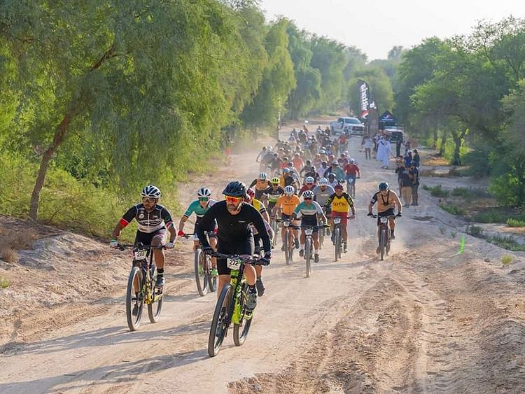 Mushrif Park bike