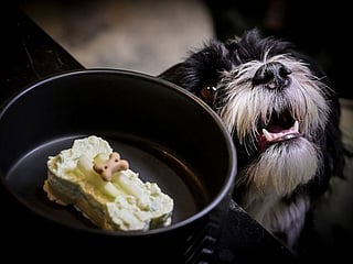 Photos: Meals to woof down at Italy's first dog restaurant
