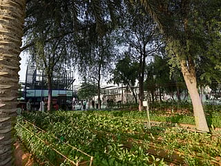 Expo City Farm launched in Dubai aims to make development self-sufficient