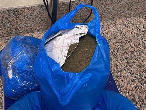 The 8.9kg of marijuana seized by Dubai Customs officials at Dubai Airport.
