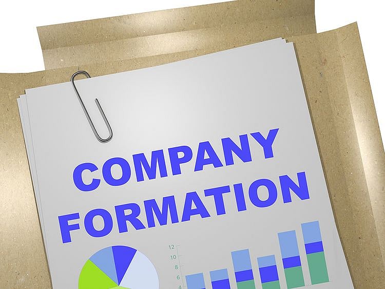 STOCK COMPANY FORMATION