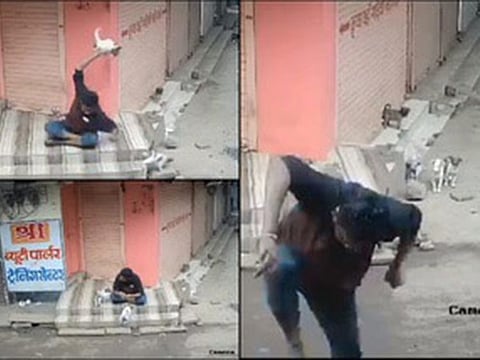  The viral video of the brutal incident has also disturbed the minister Jyotiraditya Scindia who demanded strict punishment.