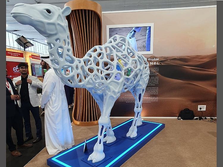 CAMEL 3 D