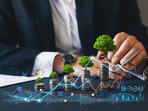 UAE banks already have form in extending sustainability-linked financing. More will be done. 