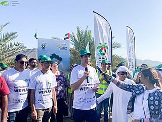 Hundreds of volunteers turn up for Pakistan Association tree plantation campaign in Hatta