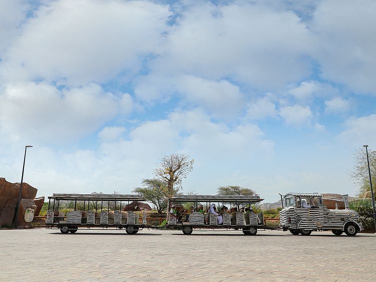 The 50 per cent discount at Al Ain Zoo