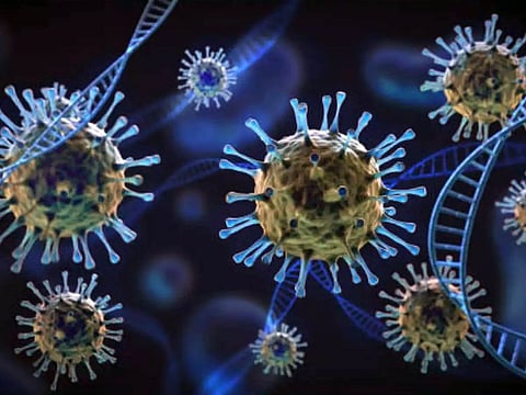  The World Health Organization (WHO) this week classified the JN.1 strain as a "variant of interest" and said current evidence shows risk to public health was low from the strain. Illustrative image.