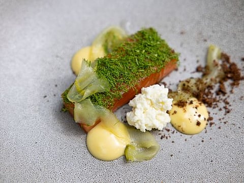 Cured salmon, pickled cucumber, tonka bean and horseradish snow