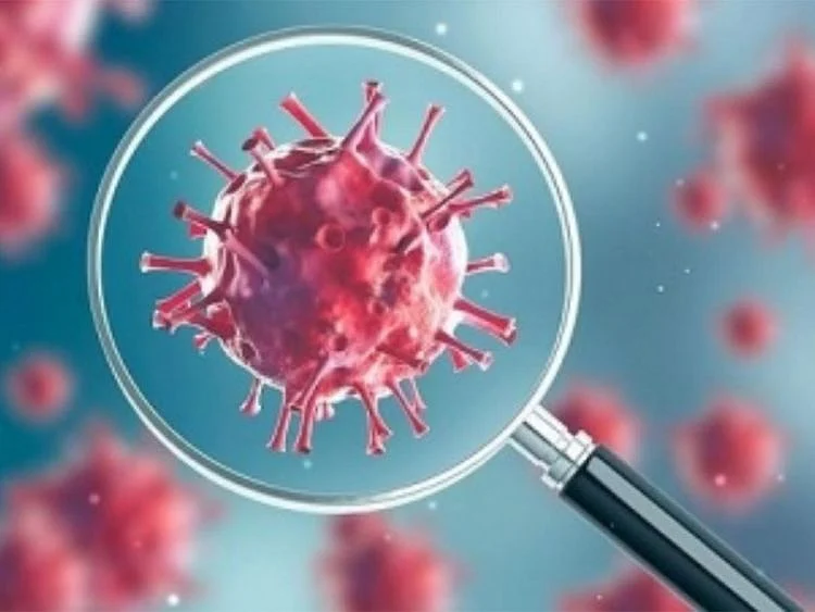 Global COVID-19 cases jump 52 per cent in a month: WHO