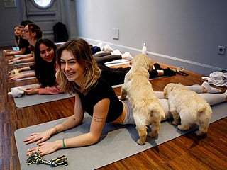 Photos: Parisians combine yoga with puppy cuddles for ultimate relaxation