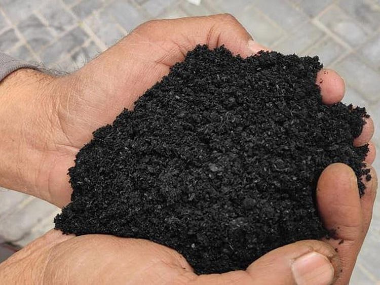biochar-1703400354752