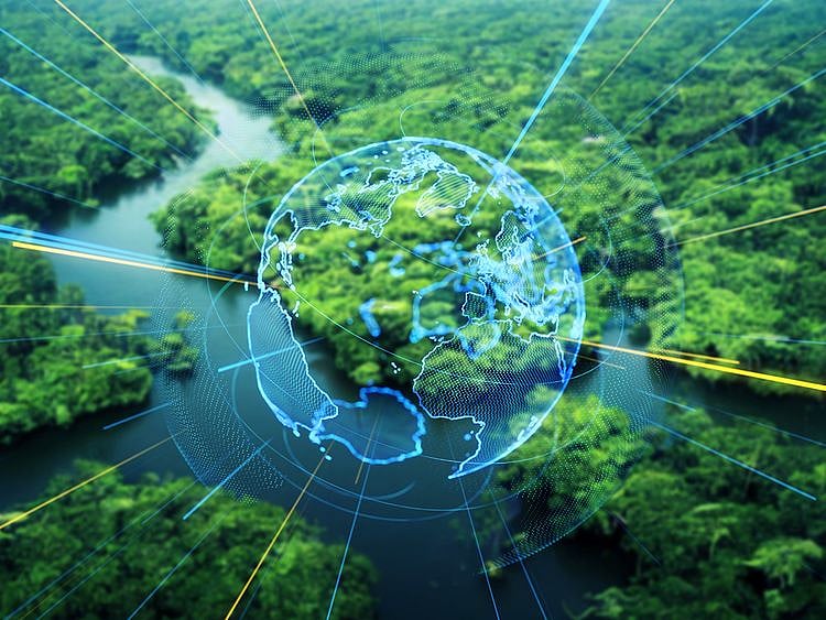 Stock-Amazon-Forest