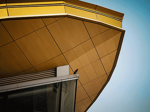 From skyscrapers to serendipity: A photographer's love letter to the UAE
