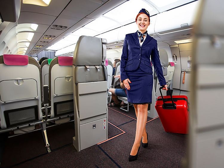 STOCK CABIN CREW