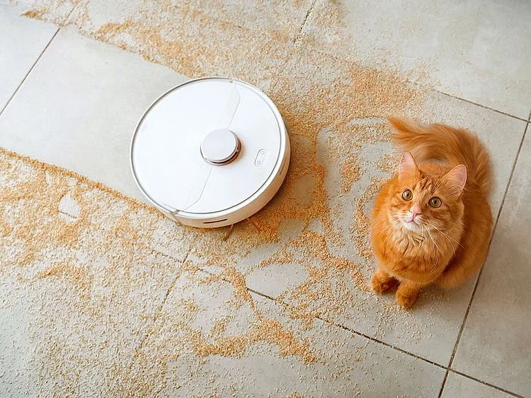 robot vacuum