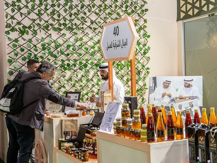 Honey festival Al wathba