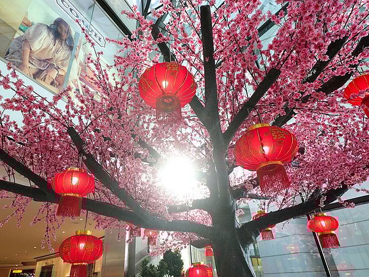 UAE CHINESE NEW YEAR