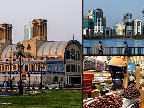 Watch: 7 popular Sharjah destinations you should not miss