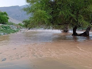 Look: Wadis overflow as heavy rains lash several parts of Oman