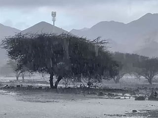 Cloudy in UAE: Heavy to moderate rainfall in Kalba and Fujairah