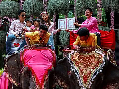 Photos: Thai couples marry on elephants for Valentine's Day 