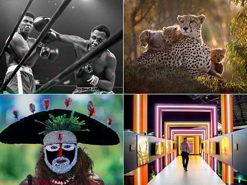 Clockwise, from top left: Ali Takes a Hit, 1971 by David Hume Kennerly; The Family by Angela and Jonathan Scott; a scene from the previous (7th) edition of the Xposure; and Hat Man, New Guinea by Eric Meola.