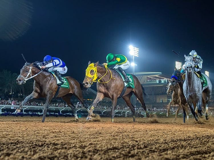 Senor Buscador (blue silks)-1708866787563