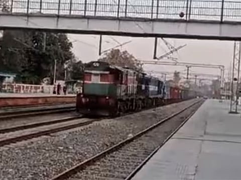 The train, reportedly travelling at 100 kilometres per hour from Kathua in J&K on Sunday, was halted using emergency brakes.