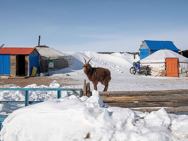Mongolia