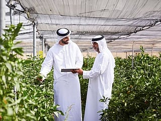 Abu Dhabi integrates human, plant, animal and environmental health under one surveillance system