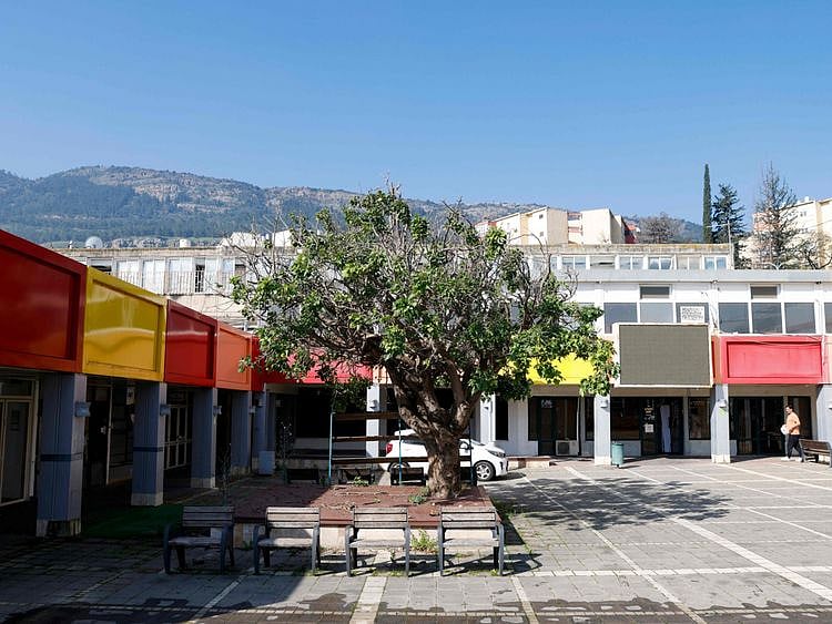 Shmona-1709117182756