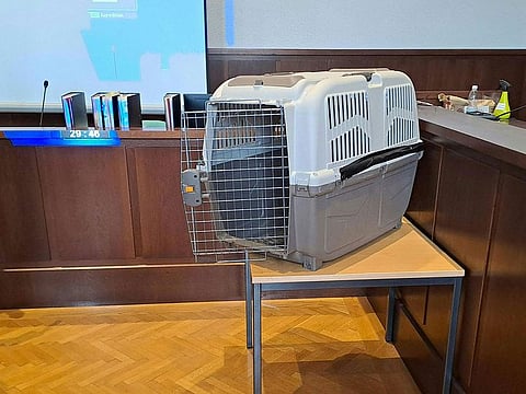 A dog crate displayed at the courtroom.
