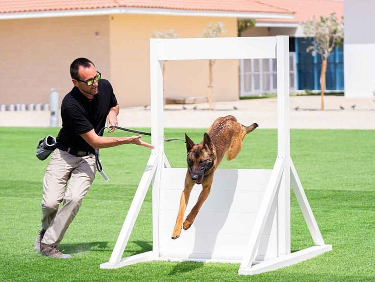 Worldwide K9 Academy