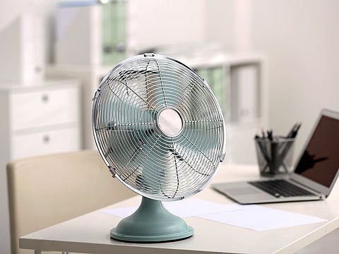 Fans work by constantly displacing warmer air in their vicinity, so you can enjoy ‘cool’ winds in the process.