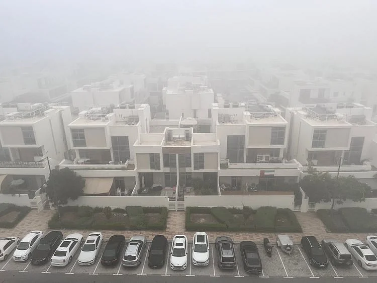 Fog