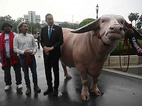 Thai prime minister Srettha Thavisin (centre), new owner Jintanat Limtongkul (second L) and previous owner and buffalo breeder Damrongsak Morakut are seen with Ko Muang Phet, a buffalo who was sold for 18 million baht, at Government House in Bangkok on March 20, 2024.  