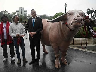 Thai PM Srettha Thavisin meets $500,000 albino buffalo in ‘soft power’ push