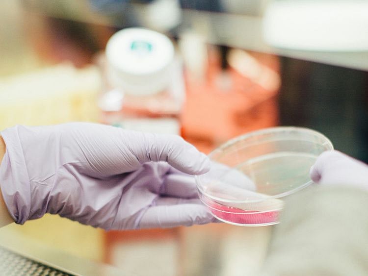 Stock-Kelix-Bio-(Mubadala)