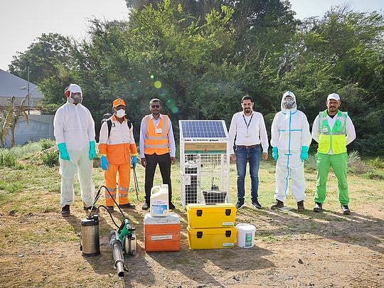 Sharjah Municipality combats mosquitoes at rainwater ponds