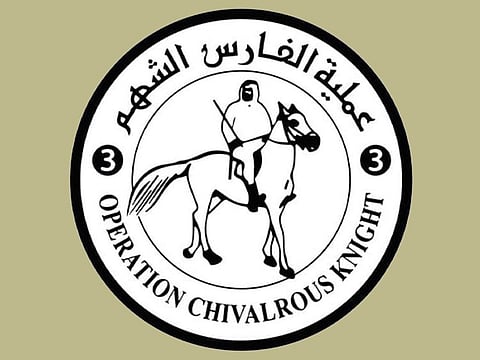 The "Birds of Goodness" campaign is part of Operation "Chivalrous Knight 3" to support the Palestinian people in Gaza.