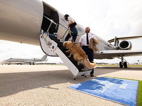 Bark Air