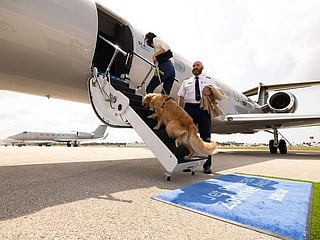 New airline Bark bets big on $6,000 flights for dogs