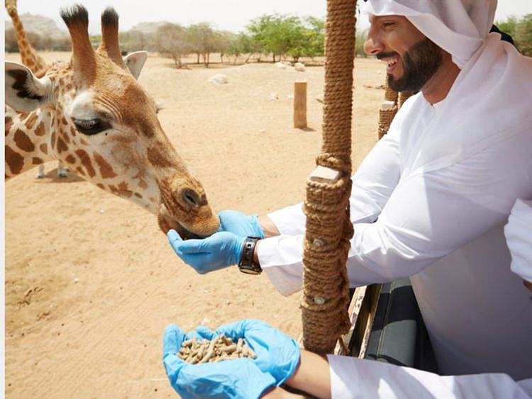 Al Ain Zoo Feeds-1713158862665