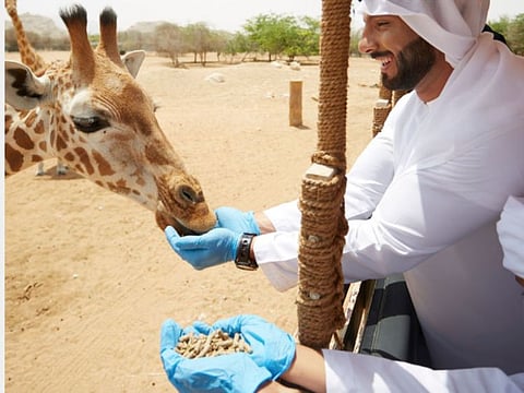 The initiative ensures a consistent food supply at Al Ain Zoo while reducing its ecological footprint, as it makes significant contributions to nature conservation and wildlife protection.