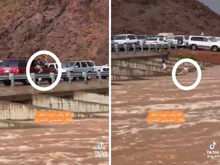 RESCUE-1713349972820