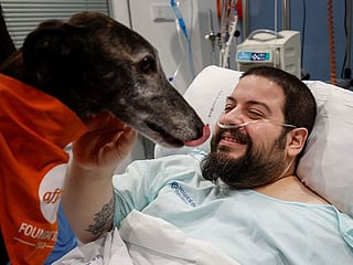 Photos: Spanish hospital enlists therapy dogs to boost ICU patients' morale 