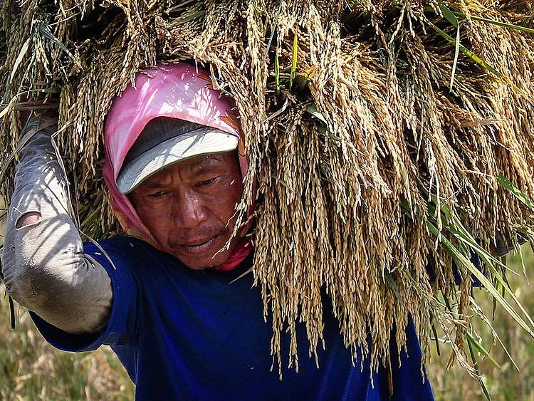 20240422 farmer