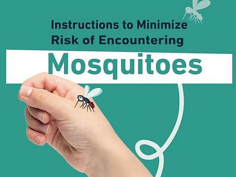 Learn from UAE authorities how to keep your home mosquito-free. Picture used for illustrative purposes.