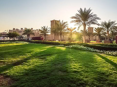 A hospital in Dammam has launched an initiative for cultivating trees for newborns.